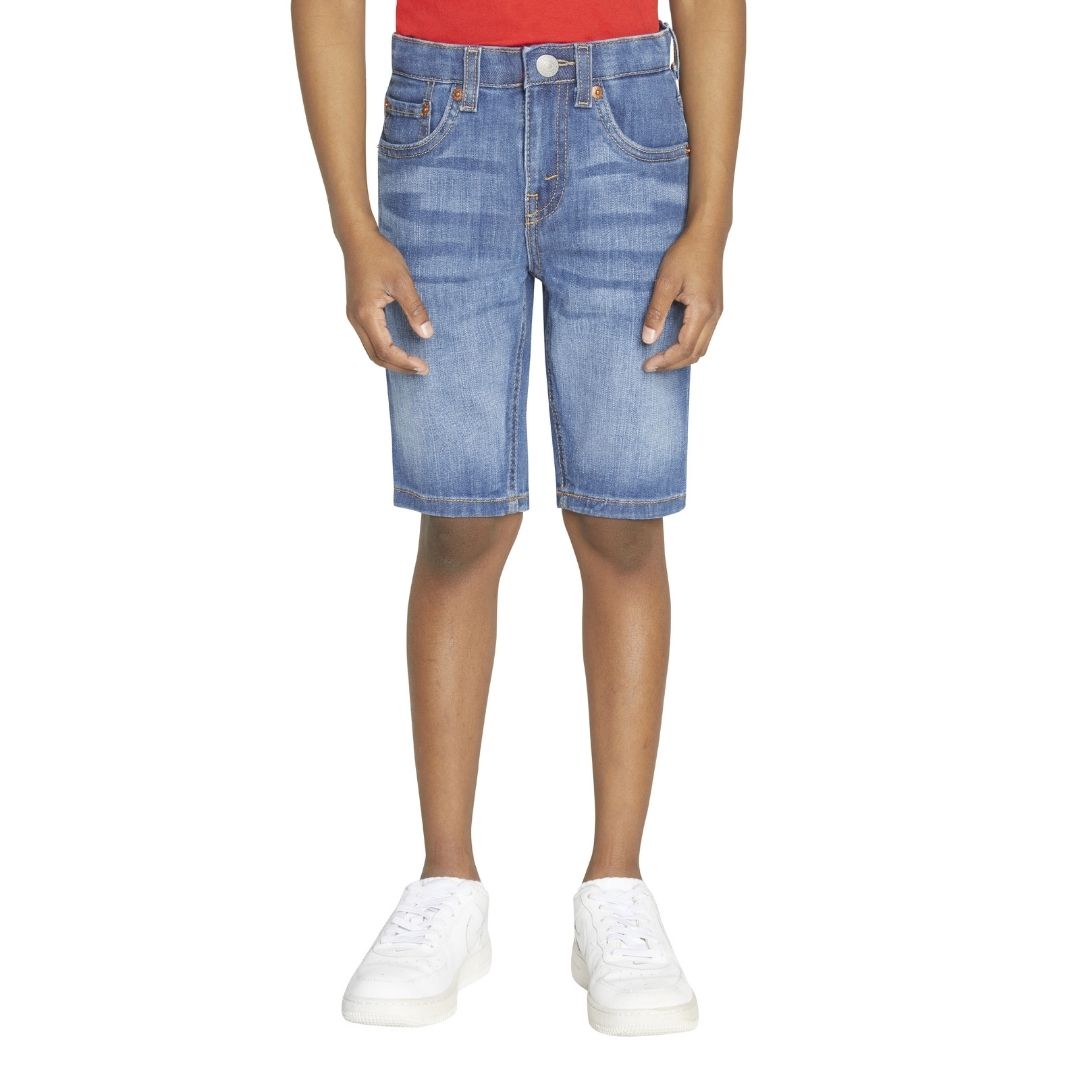 Levi's Boys Performance Shorts Blown Away (Little Kids)