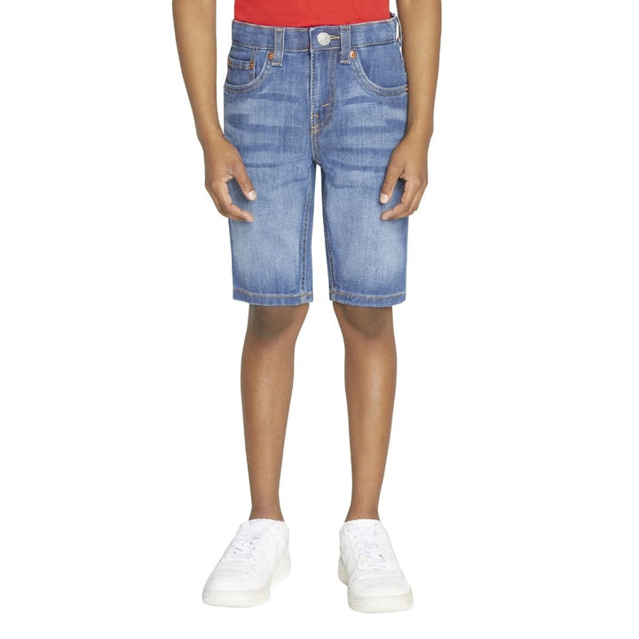 Levi's Boys Performance Shorts Blown Away (Little Kids)