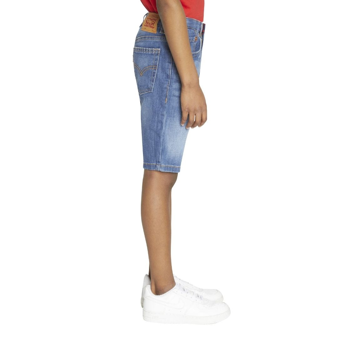 Levi's Boys Performance Shorts Blown Away (Little Kids)