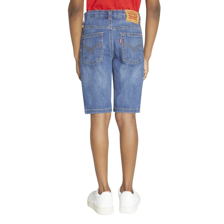 Levi's Boys Performance Shorts Blown Away (Little Kids)