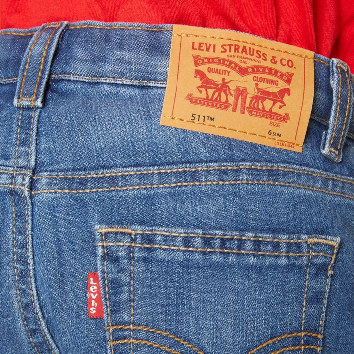 Levi's Boys Performance Shorts Blown Away (Little Kids)