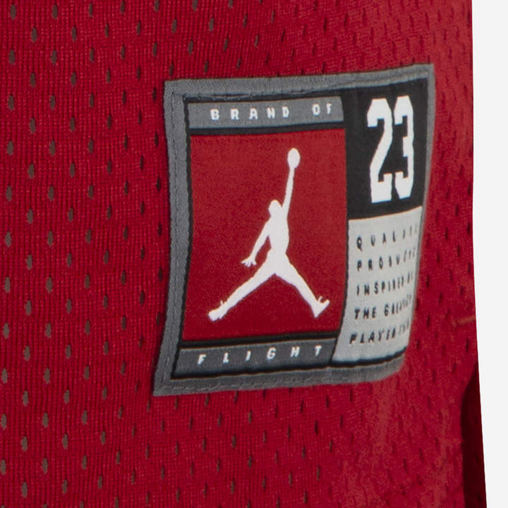 Jordan Boys Signature 23 Red Tank Top Jersey (Little Kids)