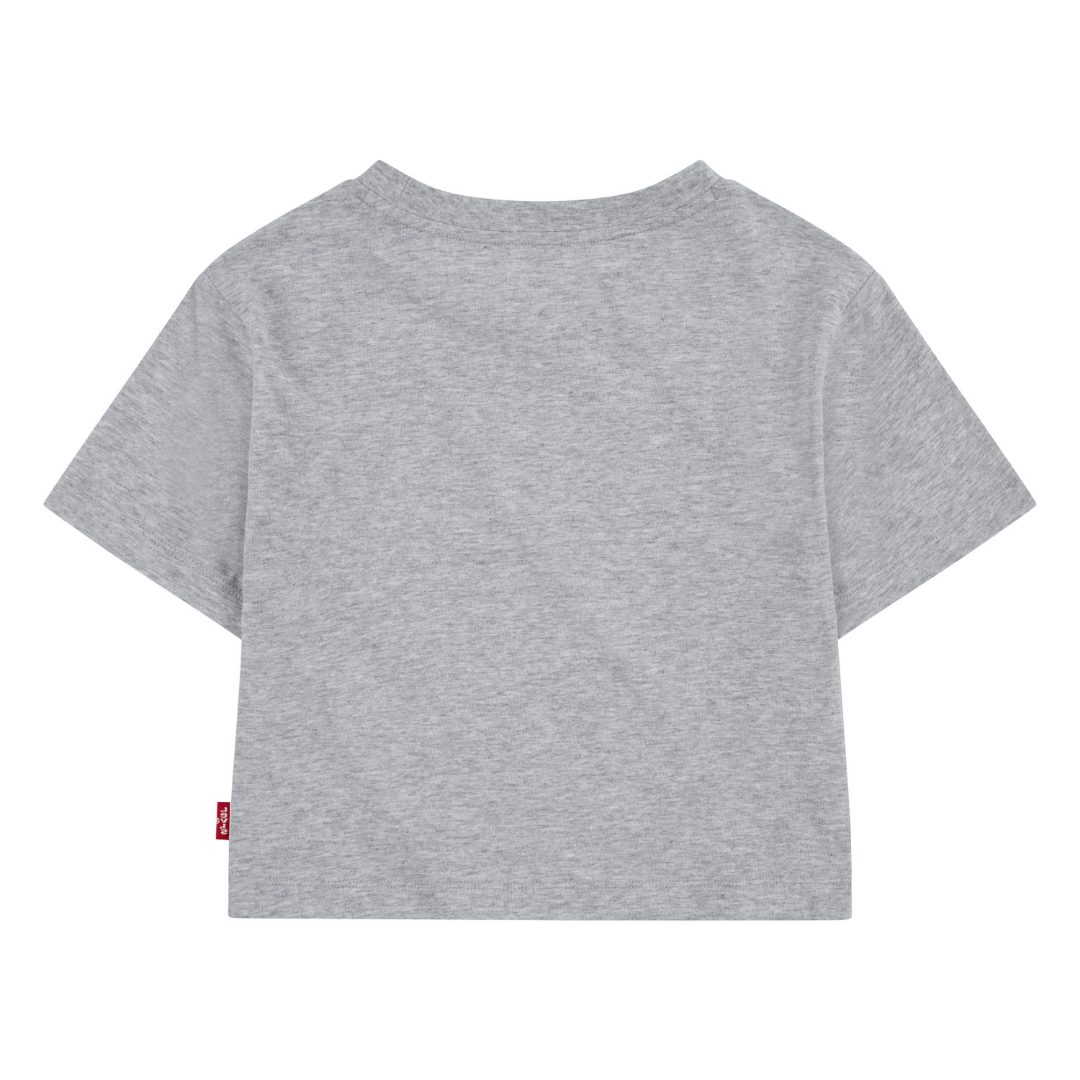 Levi's Girls Meet and Greet Butterfly Gray T-Shirt (Little Kids)