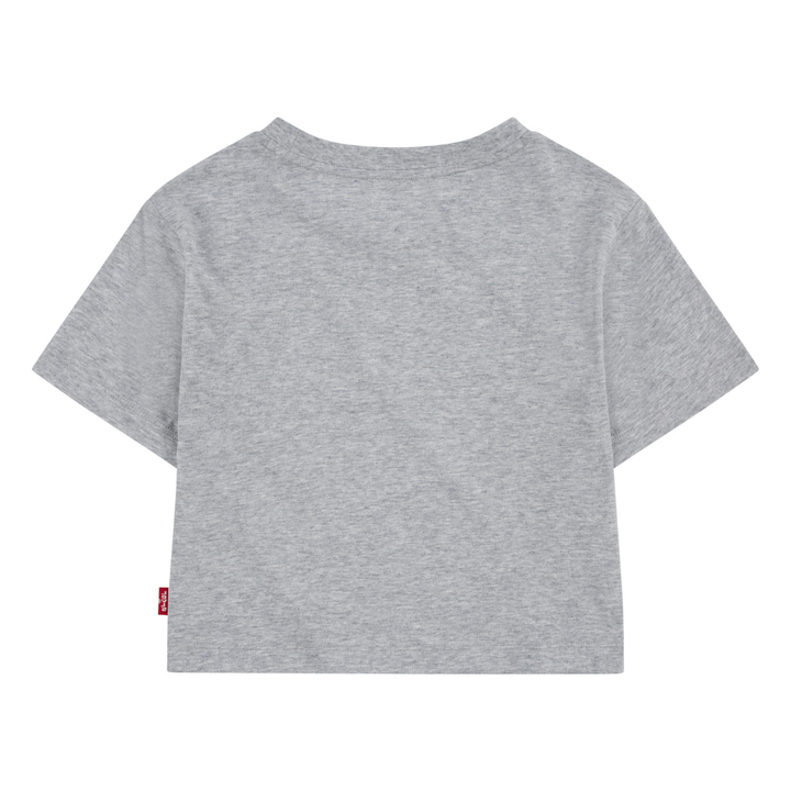 Levi's Girls Meet and Greet Butterfly Gray T-Shirt (Little Kids)