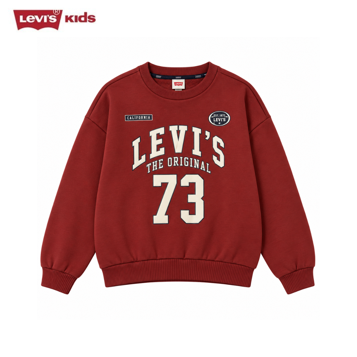 Levi's Boys Youniform Sweatshirt (Little Kids)