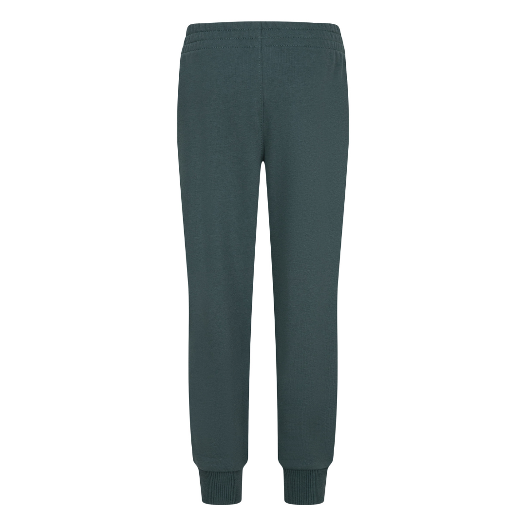 Nike Boys Sportswear Express Yourself Green Joggers (Little Kids)