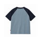 Levi's Boys Graphic Raglan T-shirt (Big Kids)
