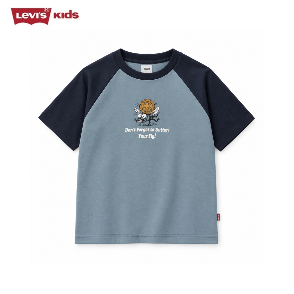 Levi's Boys Graphic Raglan T-shirt (Big Kids)