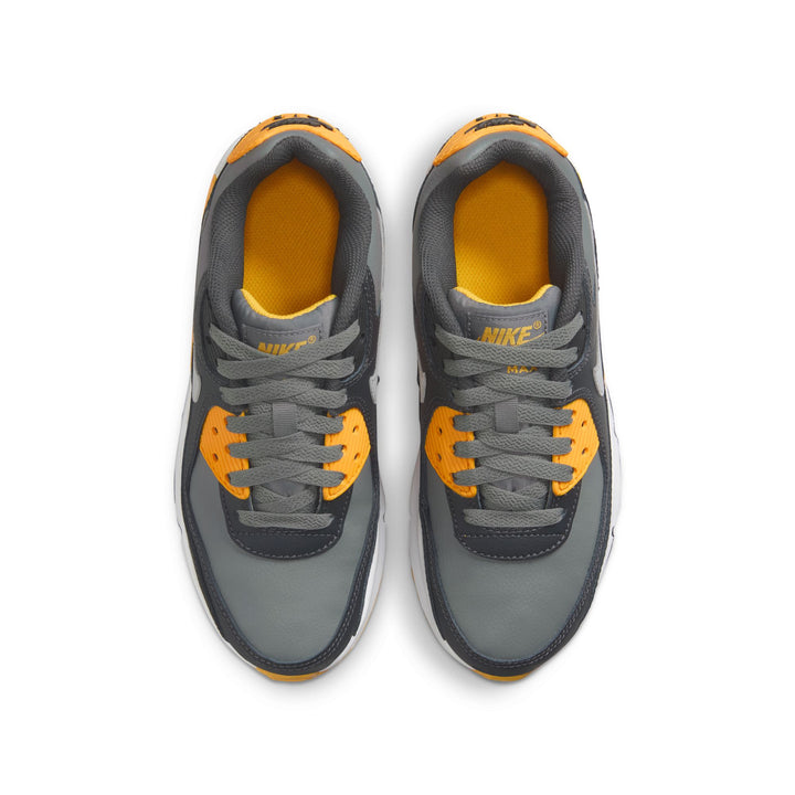 Nike Air Max 90 Shoes (Big Kids)