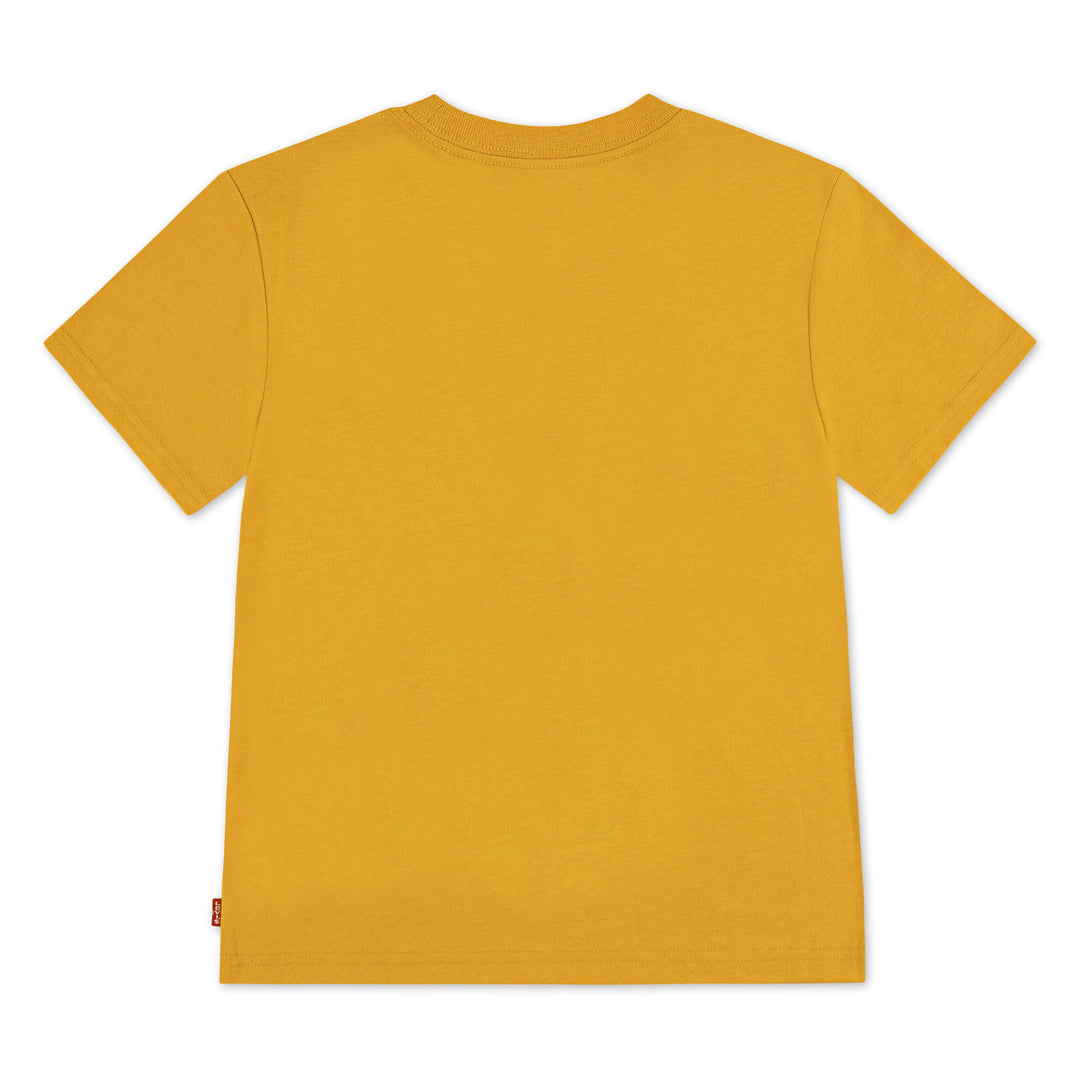 Levi's Boys Big Rig T-Shirt (Little Kids)