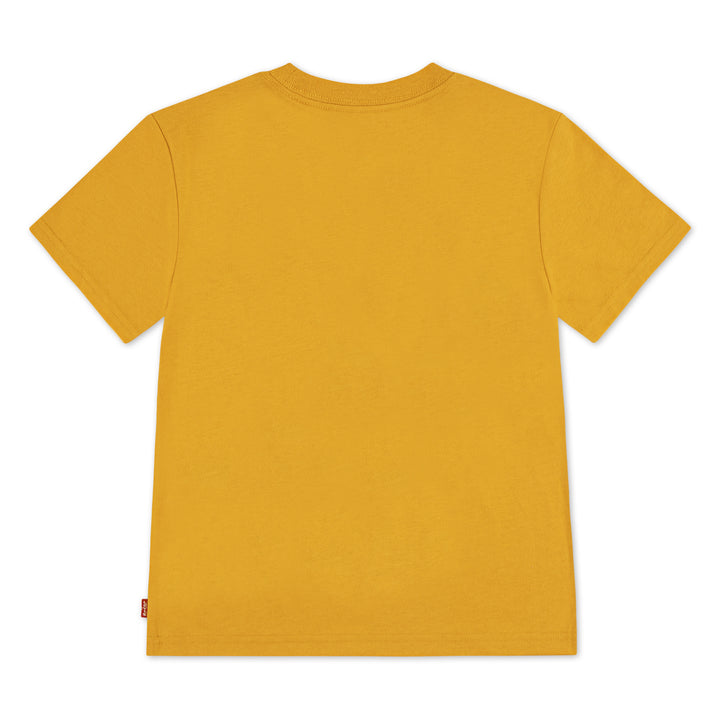 Levi's Boys Big Rig T-Shirt (Little Kids)