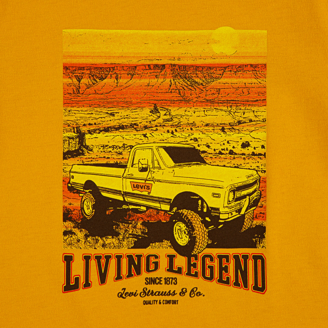 Levi's Boys Big Rig T-Shirt (Little Kids)