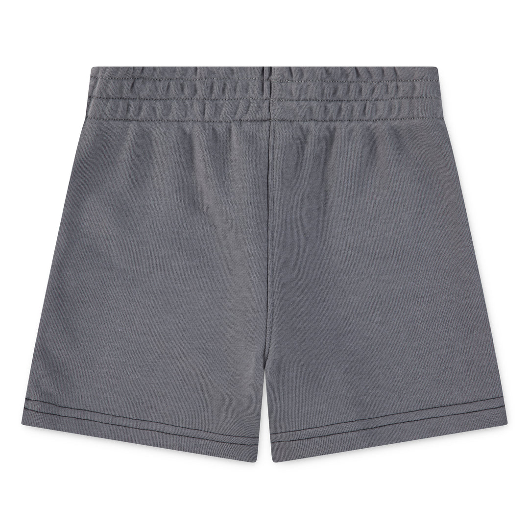 Nike Sportswear On The Move FT Short (Toddler)