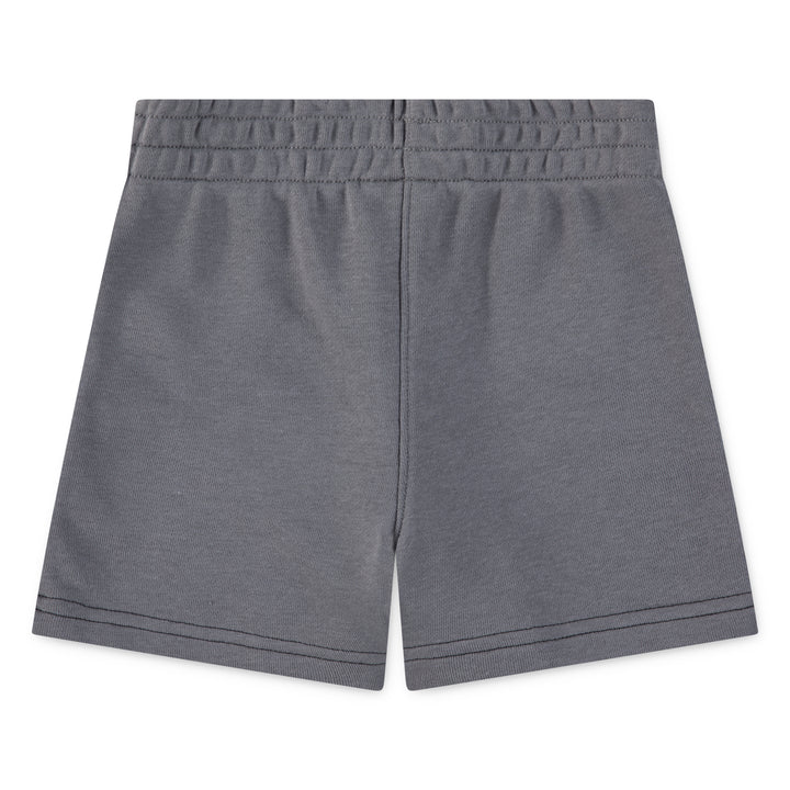 Nike Sportswear On The Move FT Short (Toddler)