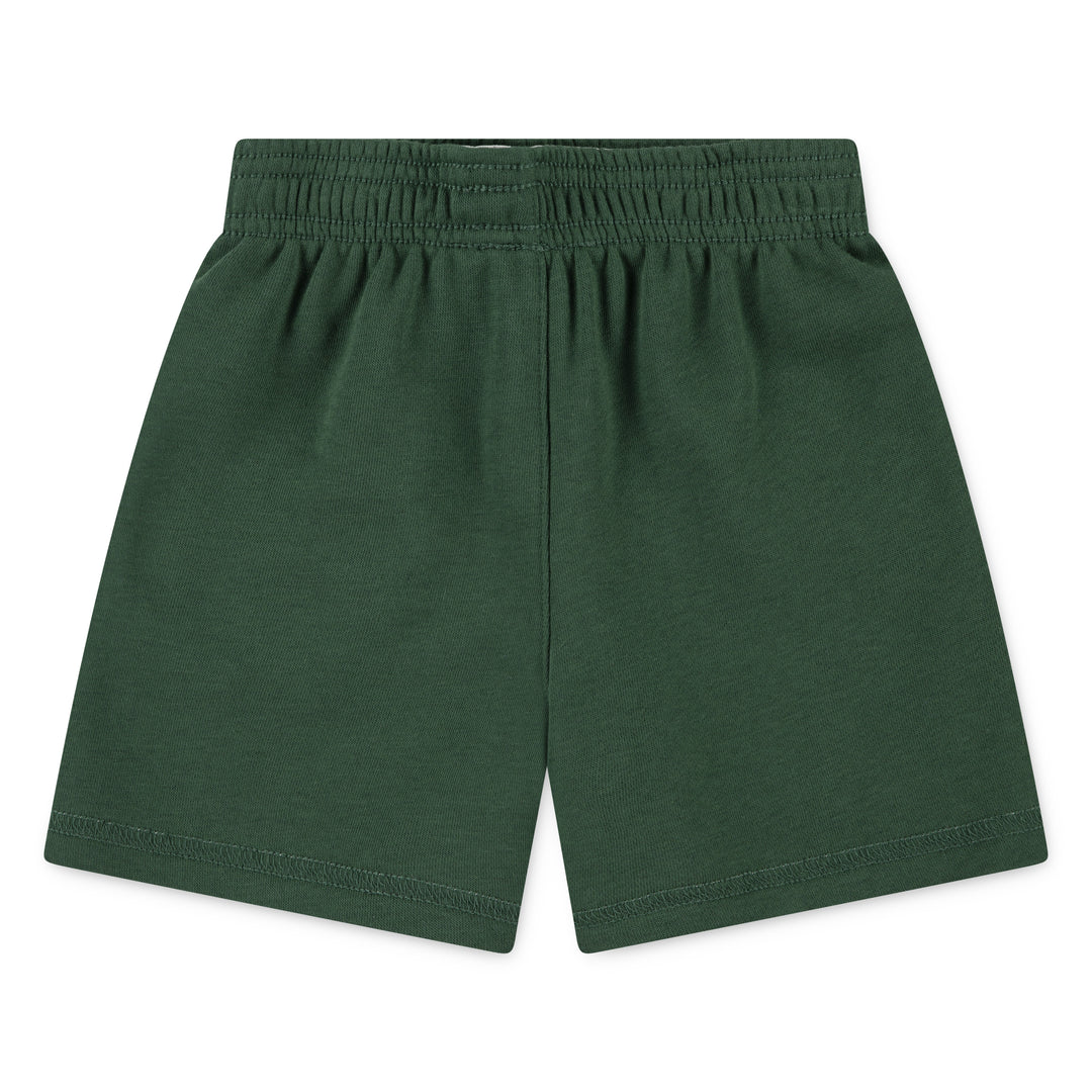 Nike Boys Sportswear P.E. Reversible Shorts Fir (Toddler)