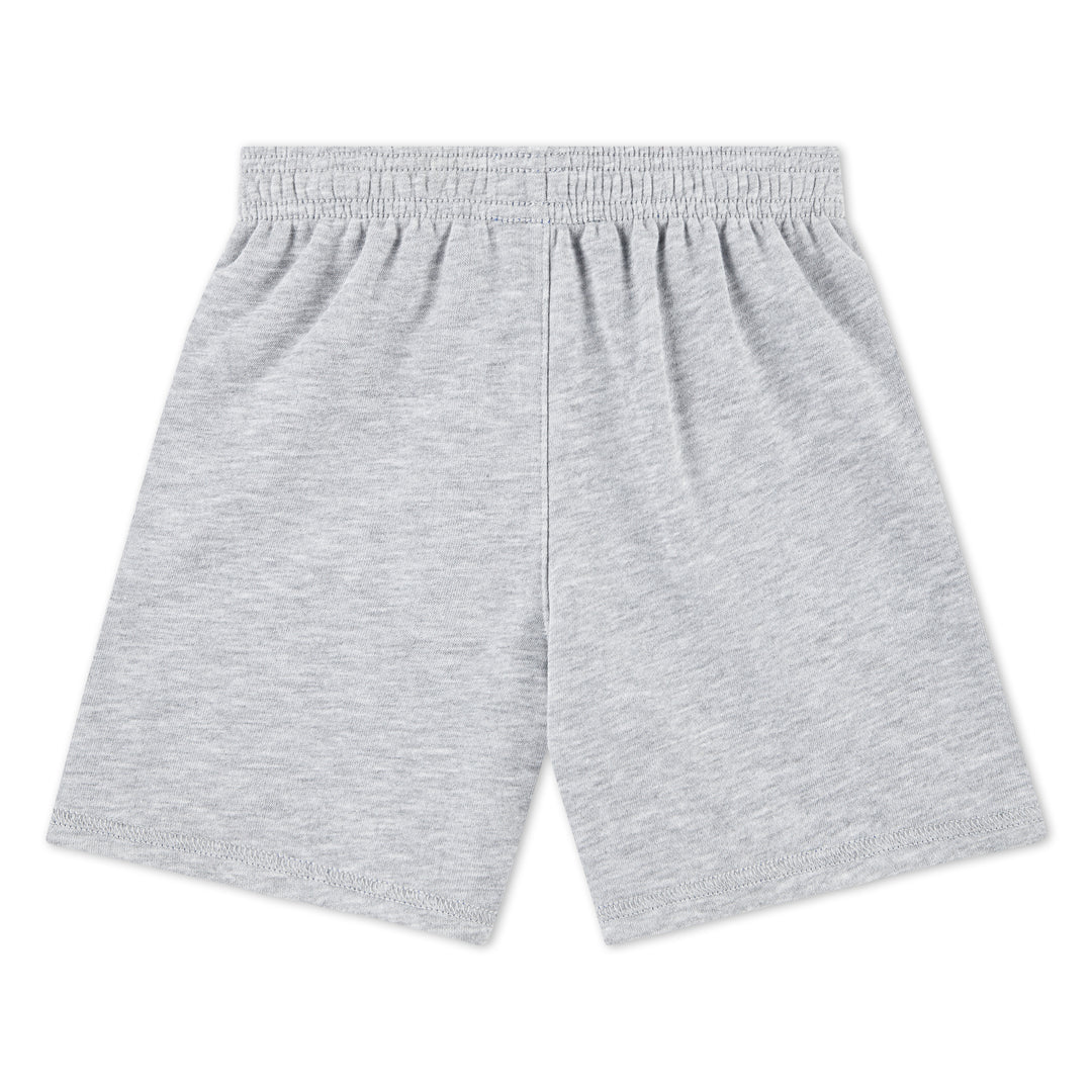 Nike Boys Sportswear P.E. Reversible Grey Shorts (Toddler)