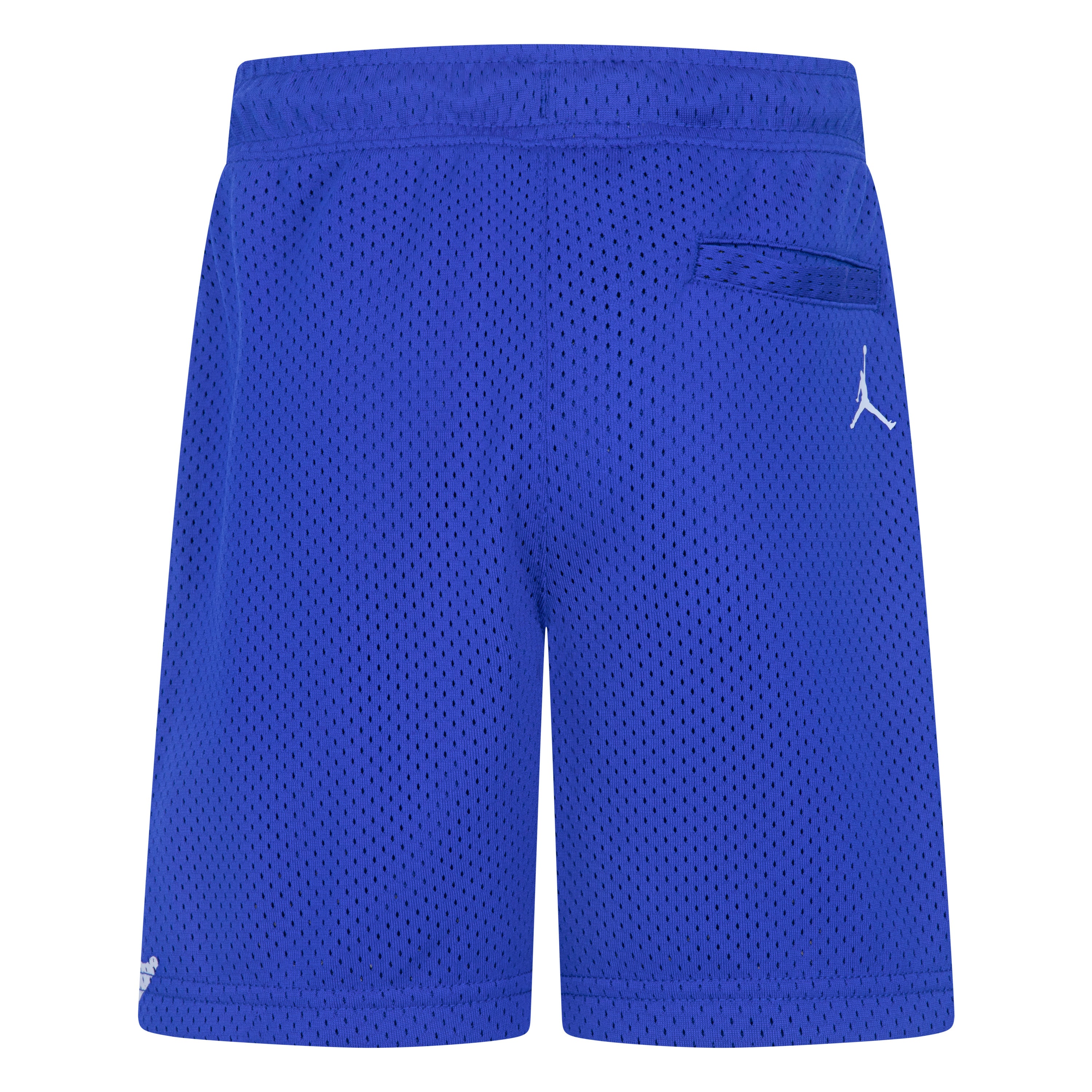 Jordan Boys 1984 Jumpman Mesh Shorts (Little Kids)