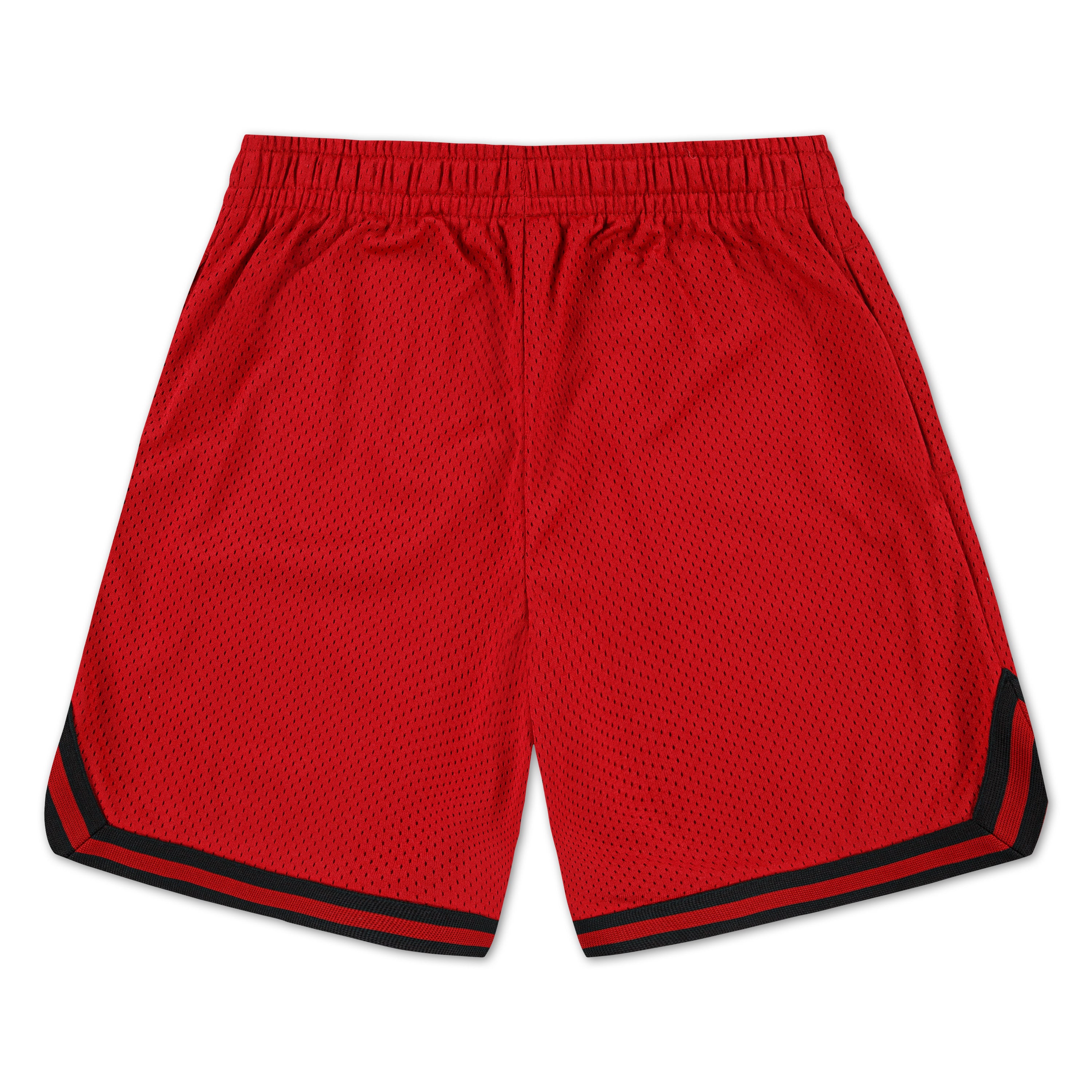 Jordan Boys Taping Mesh Shorts (Big Kids)