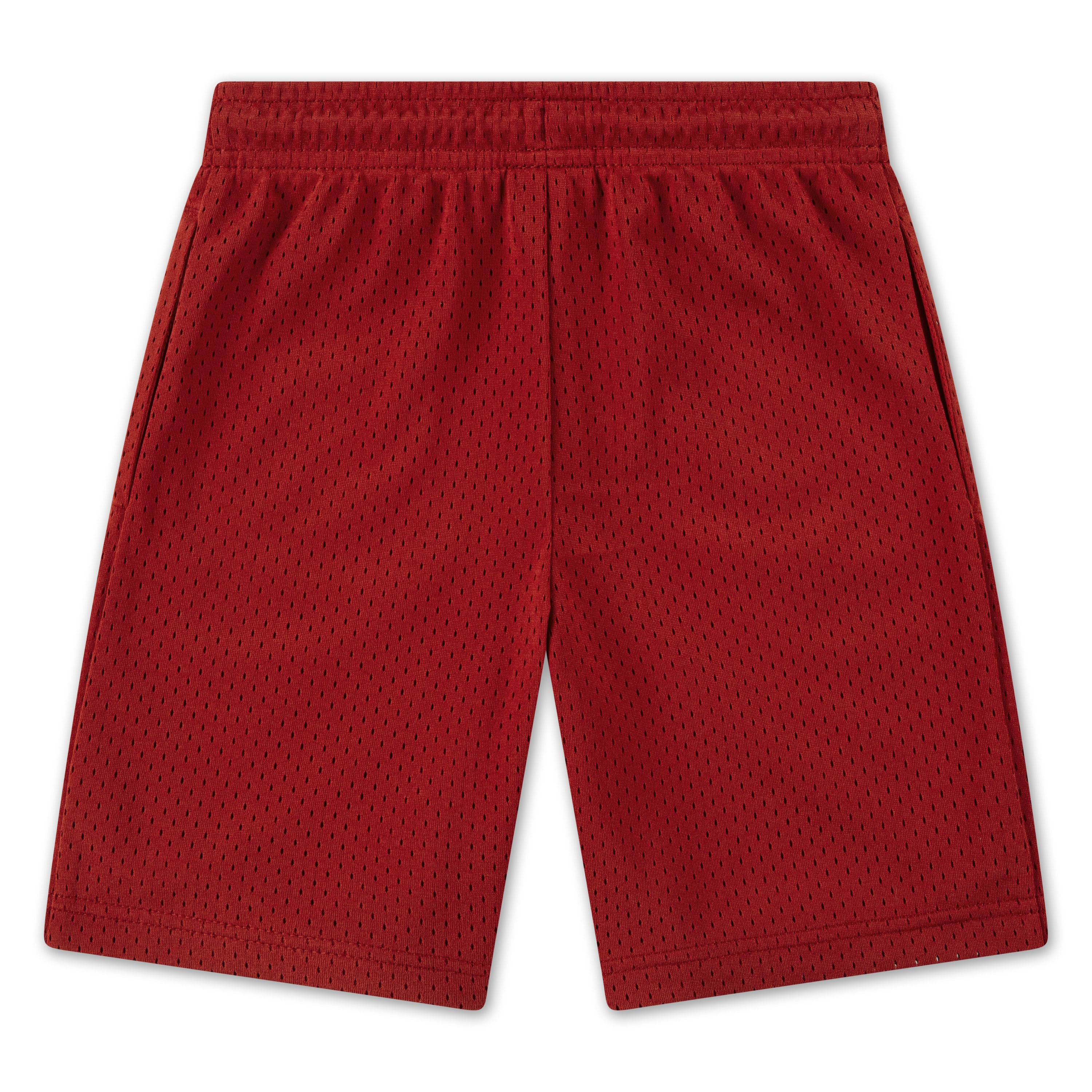 Jordan Boys Mesh PE Shorts (Little Kids)