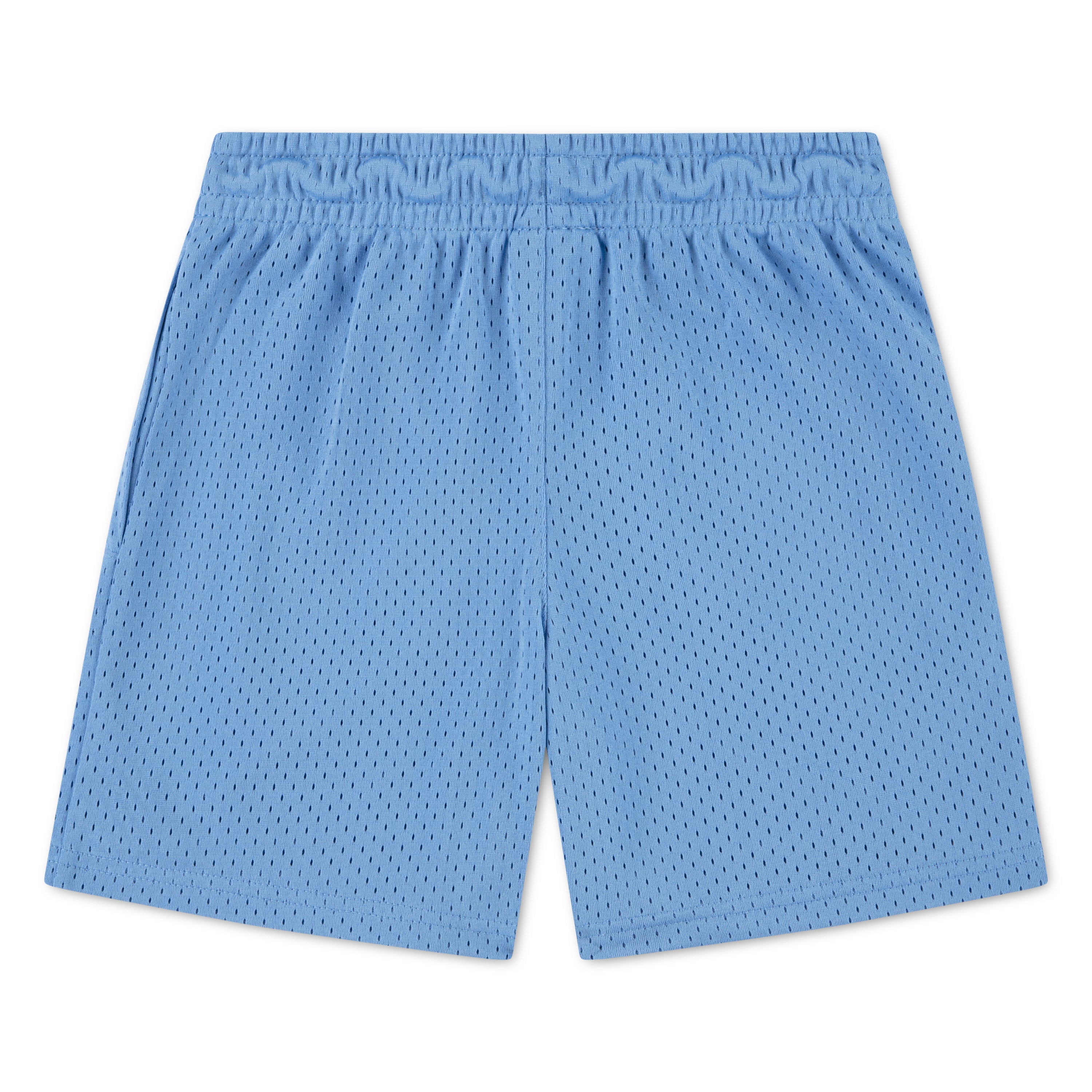 Jordan Boys MJ 23 Sport Shorts (Little Kids)