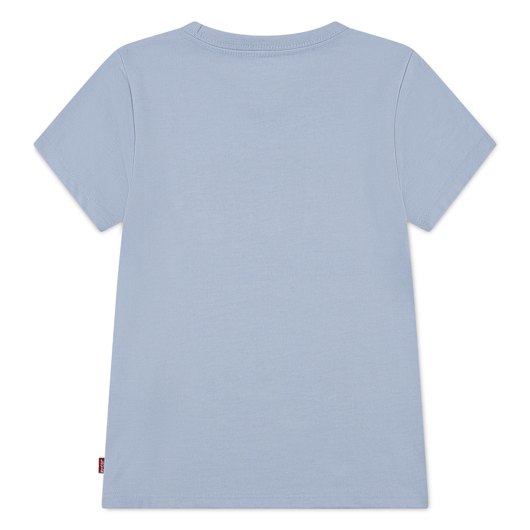 Levi's Seasonal Graphic T-Shirt (Little Kids)