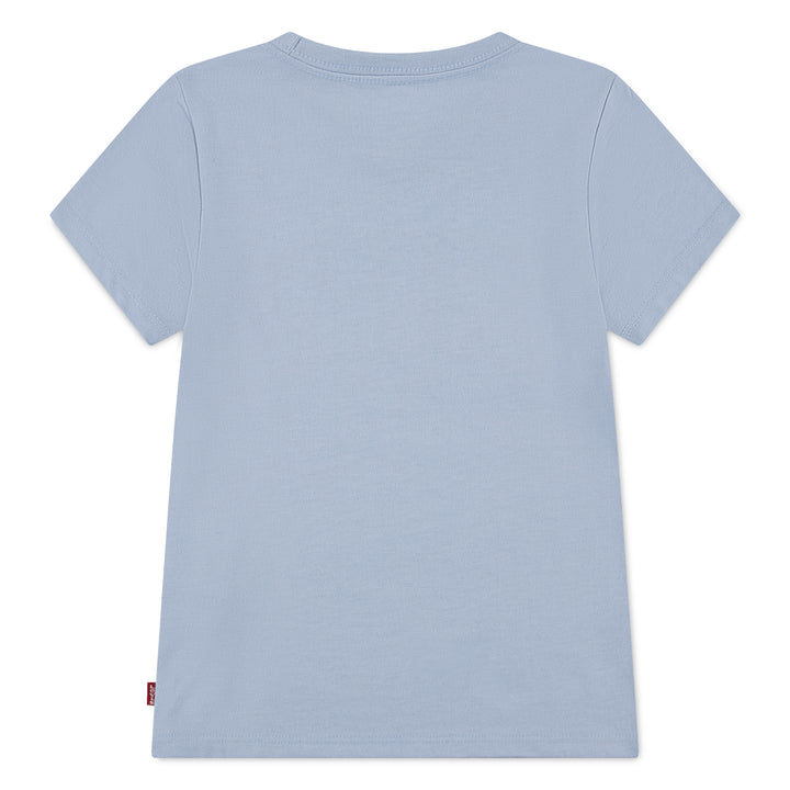 Levi's Seasonal Graphic T-Shirt (Little Kids)