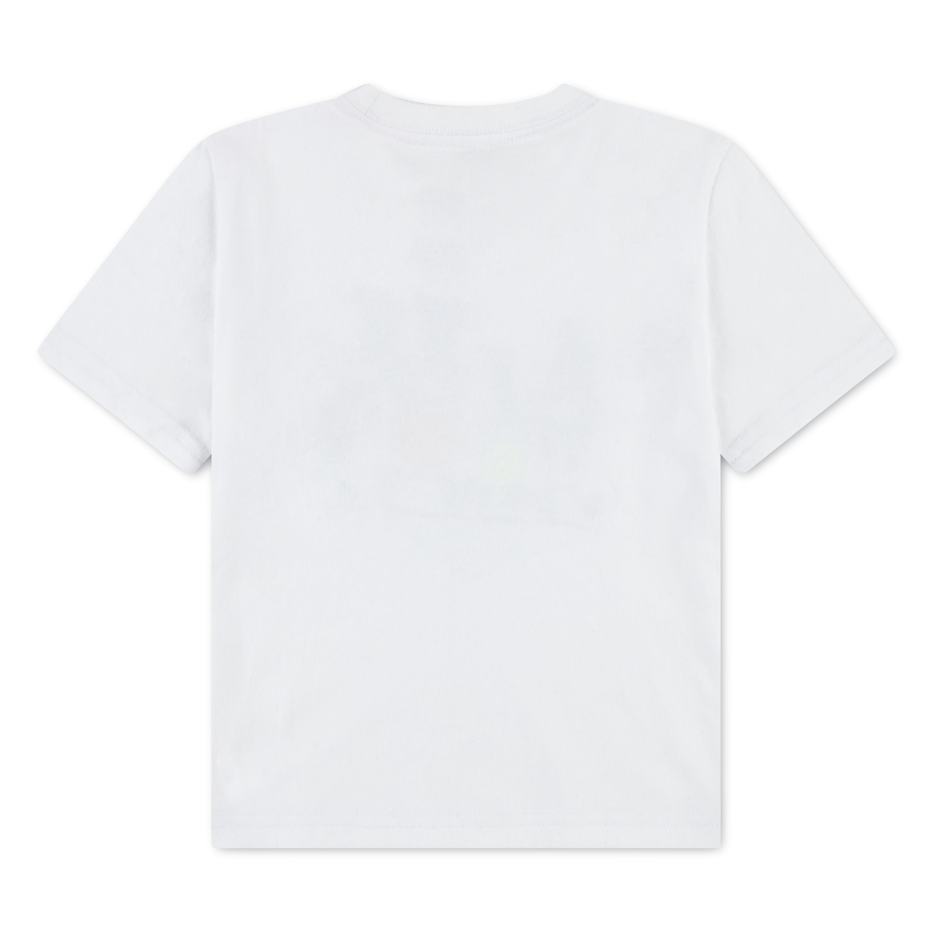 Nike Boys Multi Sportsball T-Shirt (Toddler)